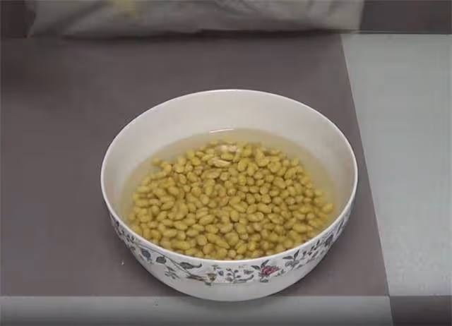非常好吃的黃豆零食,咸香味美,簡單一泡一烤,吃起來嘎嘣脆