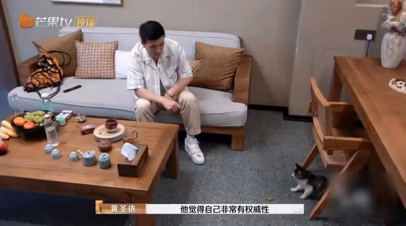 笑死了!《再見愛人》4季以來,楊子是第一個遭全部嘉賓怒懟的