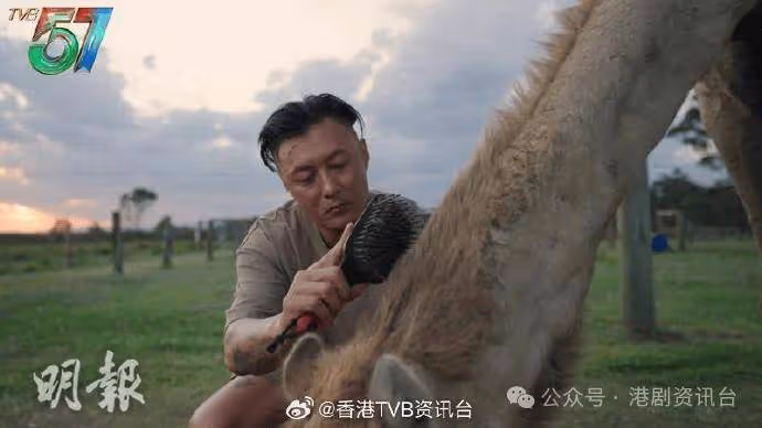 TVB時隔20年再推電視電影!馬明定欣3生3旦譜愛情故事