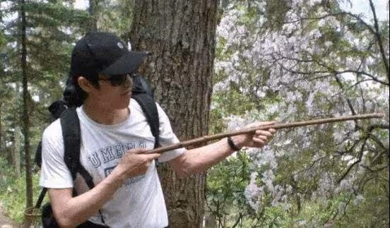 24歲博士畢業！天才少年「年薪693萬」，開心接爸媽去美國「前一晚卻從頂樓墜下」