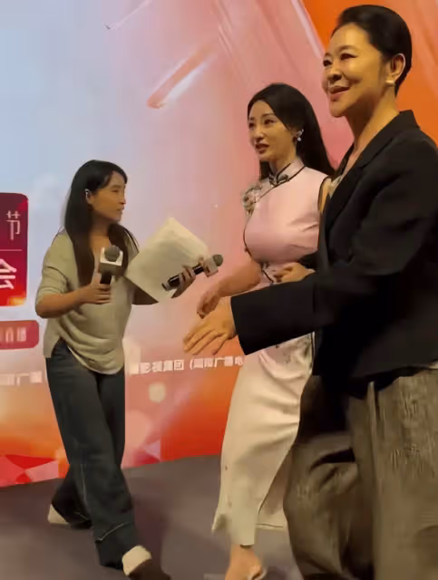 倪萍柳岩難得同台,倪萍近照大變下巴太尖不敢認,柳岩穿旗袍好美