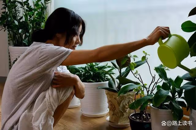 情色還是惡俗,諾獎得主小說《素食者》為何惹爭議?