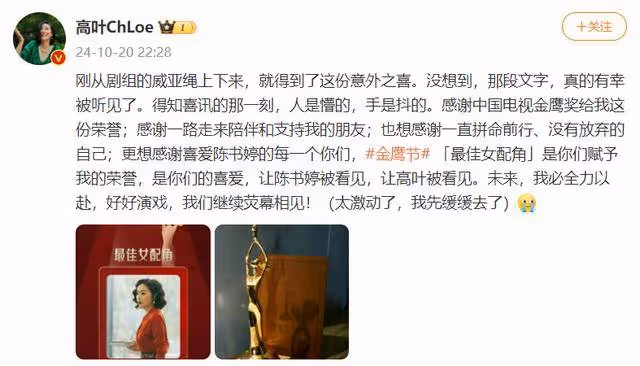 憑藉《狂飆》中「大嫂」一角獲金鷹獎最佳女配,高葉:得知喜訊人是懵的