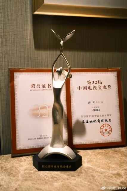 憑藉《狂飆》中「大嫂」一角獲金鷹獎最佳女配,高葉:得知喜訊人是懵的