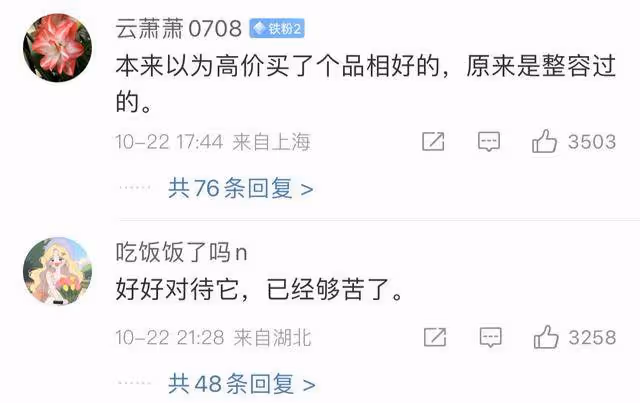 崩潰!花近2萬網購的泰迪竟被裁耳畫眼線,商家回應:顧客沒問我就沒說