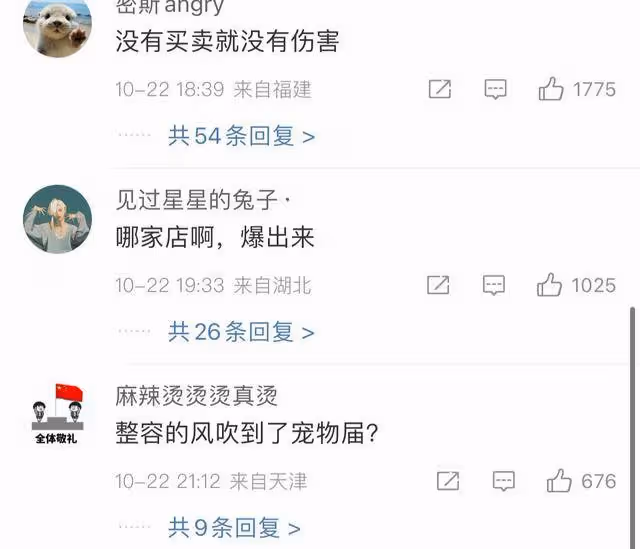 崩潰!花近2萬網購的泰迪竟被裁耳畫眼線,商家回應:顧客沒問我就沒說