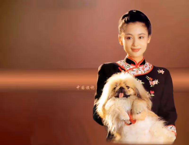 「悍妻」上位,手撕瓊瑤、擠走倪萍、搞定陳凱歌,自信狠辣的她還好嗎