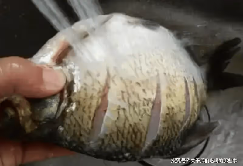 解凍魚,不要直接用清水泡!教您一招,10分鐘解凍,跟鮮魚一樣