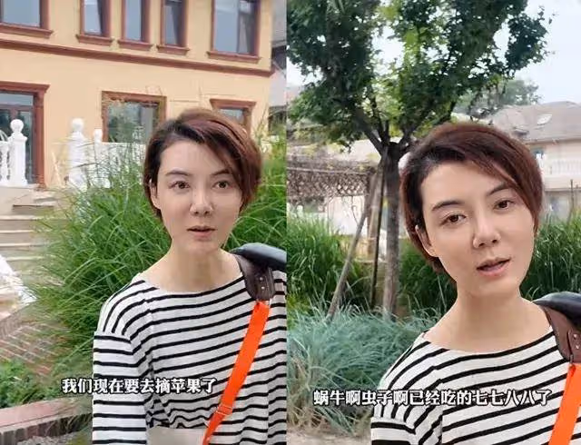 42歲女星車曉獨住帶院別墅,素顏現身狀態超好,離婚12年依舊精彩