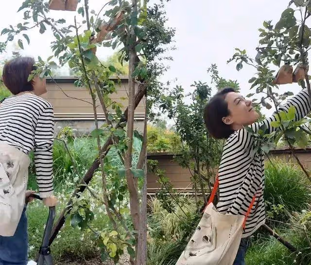 42歲女星車曉獨住帶院別墅,素顏現身狀態超好,離婚12年依舊精彩