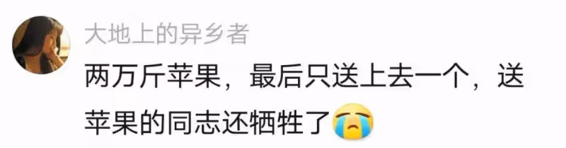 《上甘嶺》:最新劇情白熱化,黎明前最黑暗的時刻每一幕都感天動地