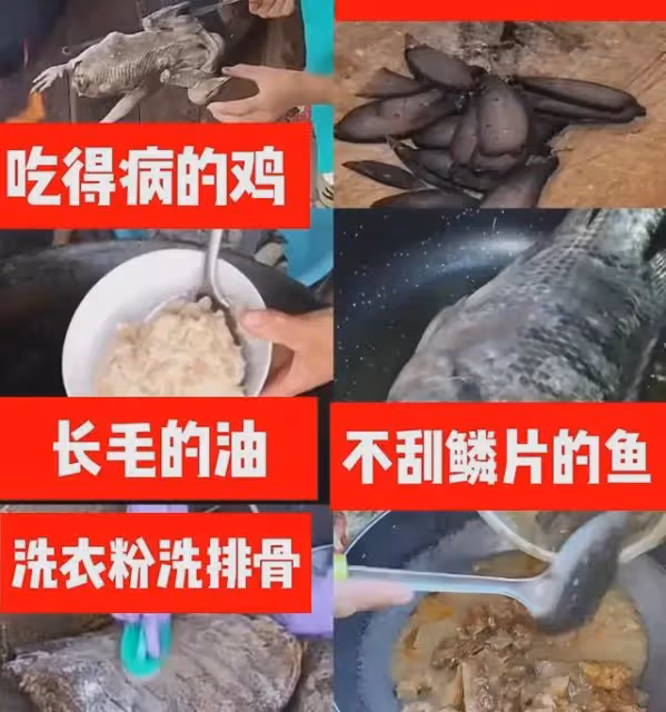 網紅小英裝窮賣慘塌房!生4個孩子送走2個,被網友曝光有4家企業