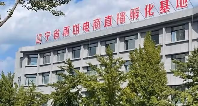 東北雨姐已無法翻身!她和老蒯背負千萬債務,誠信的基石崩塌