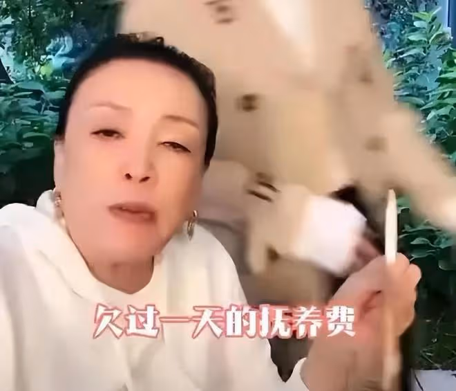 張蘭否認拖欠大S孩子撫養費,不欠孫兒一分錢,反勸大S要自律自愛