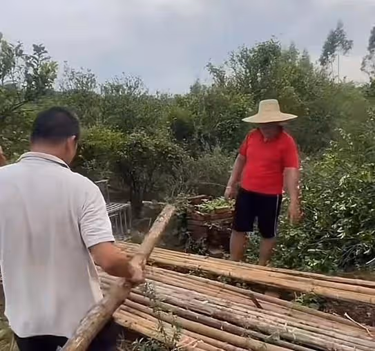 全紅嬋歸隊後,父母難掩對子女的思念之情,在家做農活充實自己