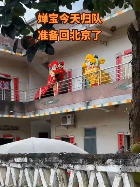 全紅嬋低調回京，安保人員秘密護送歸隊，媽媽親手為嬋寶洗衣服