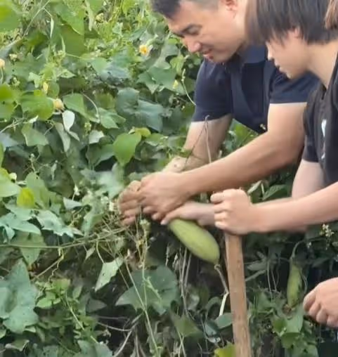 全紅嬋回老家幫爸爸除草,光腳扛鋤頭勞作,除草動作非常嫻熟