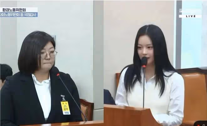 Hanni出席國會監察淚灑現場-Hybe掩蓋員工過勞死事件