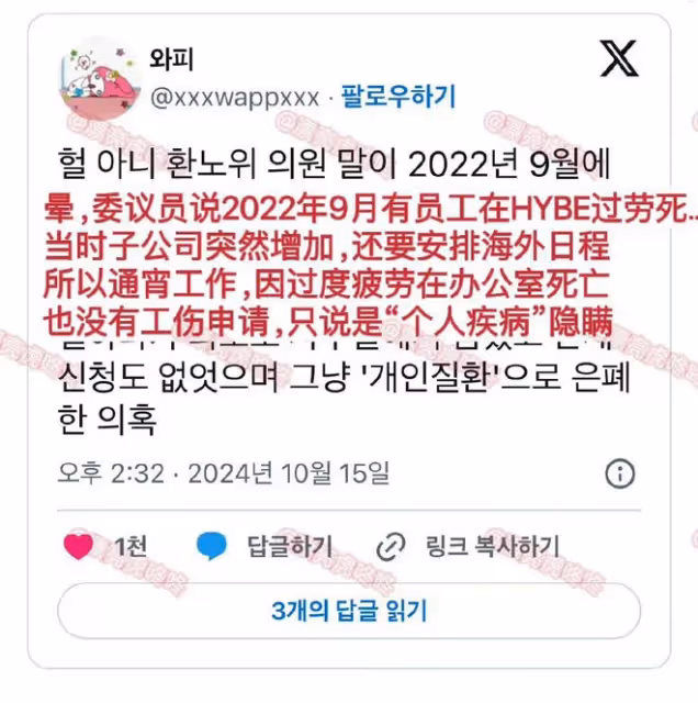 Hanni出席國會監察淚灑現場-Hybe掩蓋員工過勞死事件