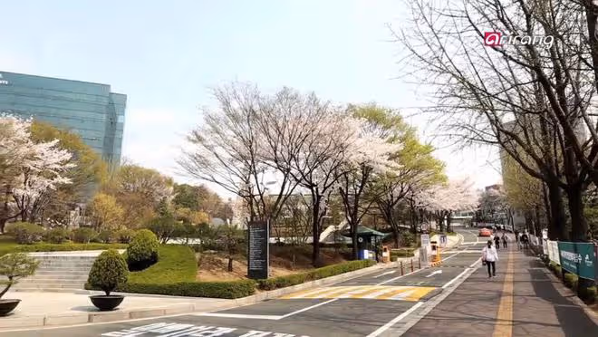 韓國大學全面解析：西江大學