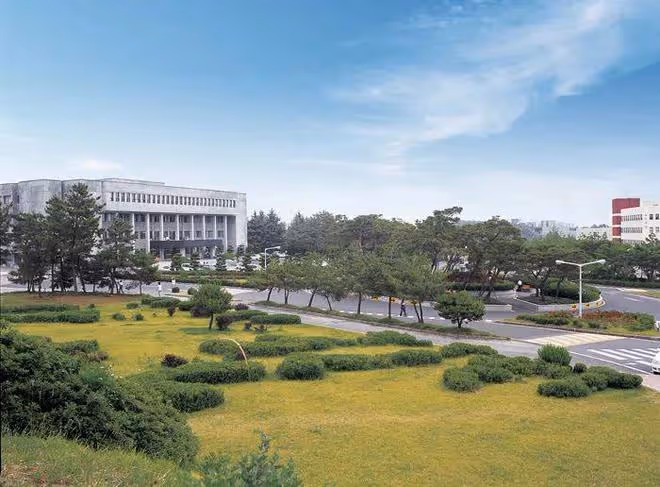韓國大學全面解析：加圖立大學