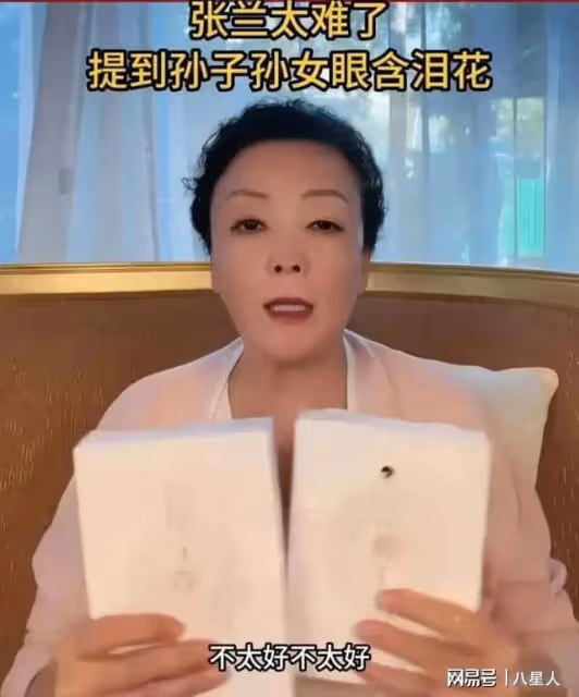 大S不配當媽!張蘭直播哭訴汪小菲孩子近況,弟弟成犧牲品性格成憂