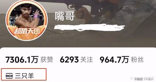 小楊嫂疑似退出三隻羊!小楊嫂父親發文:一生很短,照顧好自己