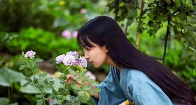 李子柒要「出山」了,一出手就是王炸?