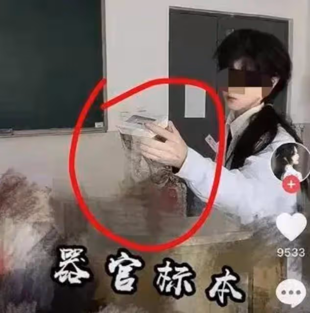 「順一根骨頭回去給狗玩」,這就是以後的「白衣天使」?