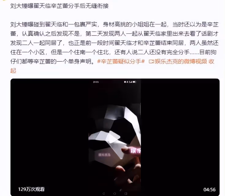 辛芷蕾方疑似回應分手：遠離私生活，我姐獨美
