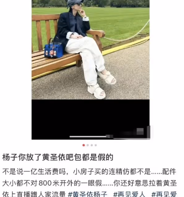 黃聖依陷「假包風波」,背後真相撲朔迷離,豪門闊太也愛仿製品?