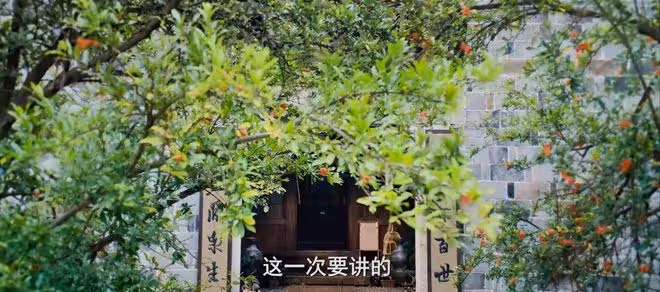 看完《藏海花》第六集,我終於理解為什麼說劇情為王了