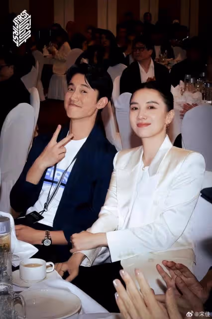 孫儷不惜被換角也要抵制到底的吳慷仁，宋佳居然要跟他演情侶？