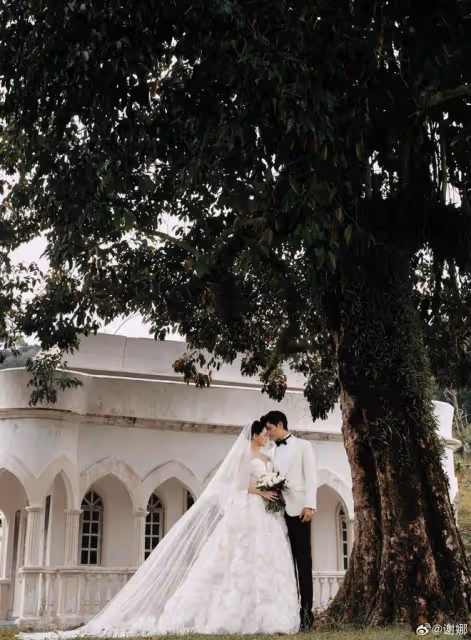 陳喬恩大婚謝娜曬份子錢隨了普通人一年工資卻被說摳門,笑尿了