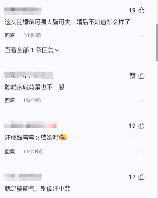 是什麼原因讓陳曉不想見陳妍希連兒子都不想見?評論區給出了答案