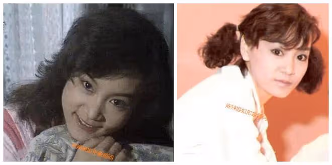 順其自然地老去，老去也是美美的，怎麼能少了典雅華貴的劉雪華