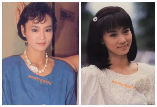 順其自然地老去，老去也是美美的，怎麼能少了典雅華貴的劉雪華