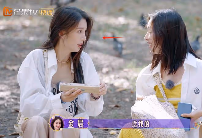 周雨彤的「真實」,打臉整個娛樂圈!
