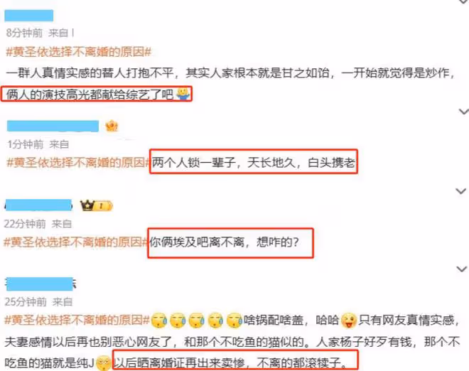 好傢夥!楊子和黃聖依又被罵上熱搜,網友的吐槽理由出奇的一致