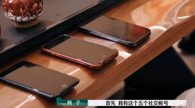 楊子參加《再見愛人》想掙錢,但黃聖依這是在求救啊