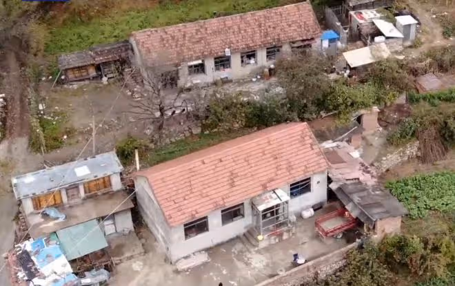 東北雨姐被央視點名三次,細節披露令人髮指,網友:她是真不老實