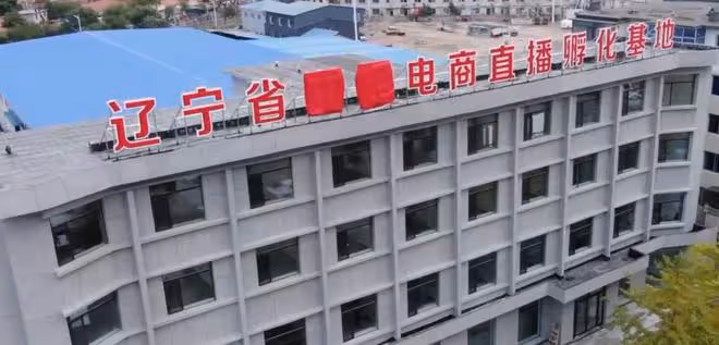 東北雨姐被央視點名三次,細節披露令人髮指,網友:她是真不老實