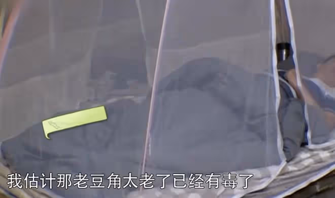 同樣是做飯,「不務正業」的賈冰,打了多少「黃磊」們的臉?
