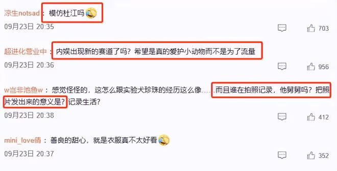 甜馨救助被碾壓的流浪貓,但在評論區里我看到人性最醜陋的一面