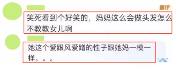 甜馨救助被碾壓的流浪貓,但在評論區里我看到人性最醜陋的一面