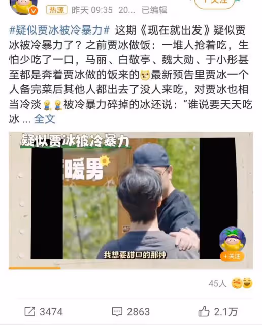 賈冰綜藝遭冷遇引熱議,網友猜測背後隱情,獨家視角剖析真相