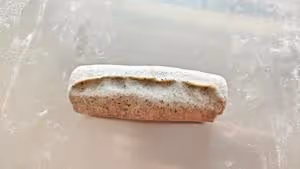 硬控法國人的花式饅頭做起來—黑芝麻饅頭卷