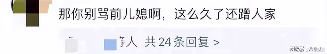 張蘭是第一個支持葉珂的公眾人物!說得句句在理,網友們卻不買帳了