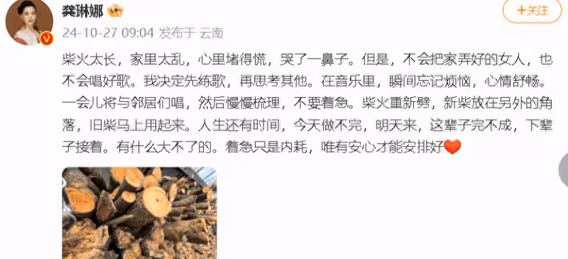 龔琳娜疑似回應離婚:我決定先練歌,再思考其他