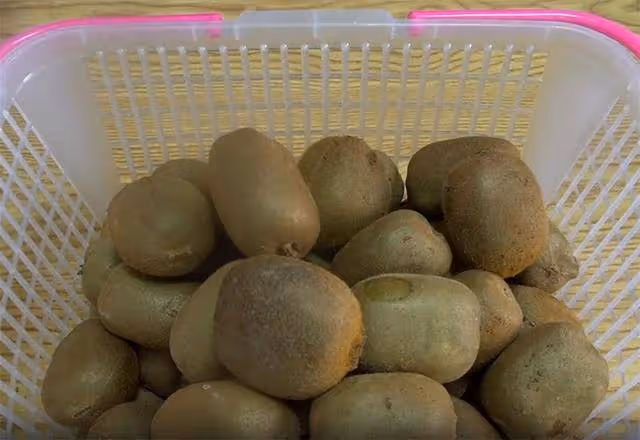 獼猴桃放進鍋里煮一煮,原來那麼神奇,作用拿錢也難買,簡單實用